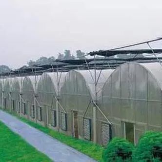 2000.000kg パッケージ 総重量 双弧温室用単調水栽培システム