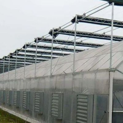 2000.000kg パッケージ 総重量 双弧温室用単調水栽培システム