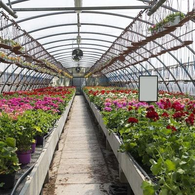 温室 野菜や花を植えるための一時的な暖房フィルム 水育システム