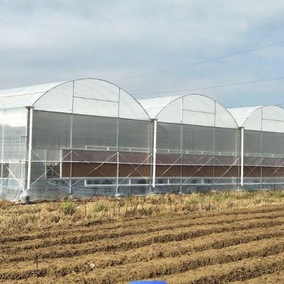 温室 野菜や花を植えるための一時的な暖房フィルム 水育システム