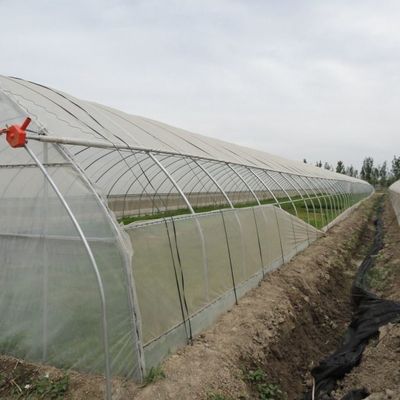 温室 野菜や花を植えるための一時的な暖房フィルム 水育システム