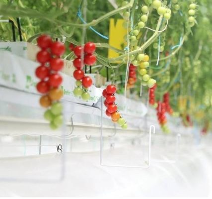 鳥類と家畜の冬に適した防水水栽培システム