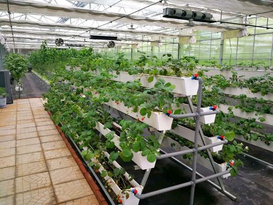ジュキヤンによる温度制御植樹施設と手頃な価格の植樹ソリューション