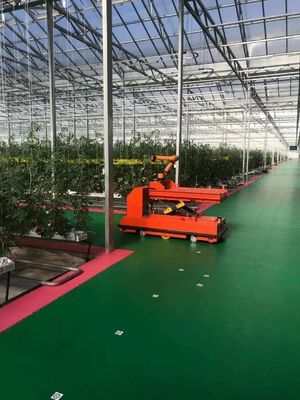 ジュキヤンによる温度制御植樹施設と手頃な価格の植樹ソリューション