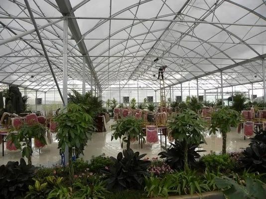 オーダーメイドとパッケージサイズオプションの湿ったカーテン水栽培種植温室