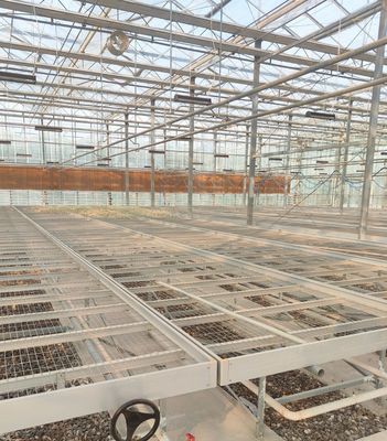 水栽培 流体湿度制御 屋根がアーチで多スパンデザインの温室