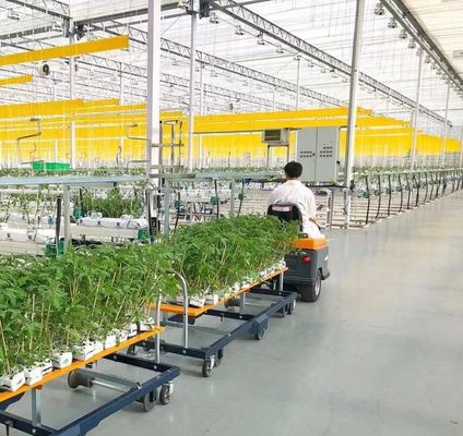 単層または多層ジャンクシアン 二層フィルム温室 花の生産 緑
