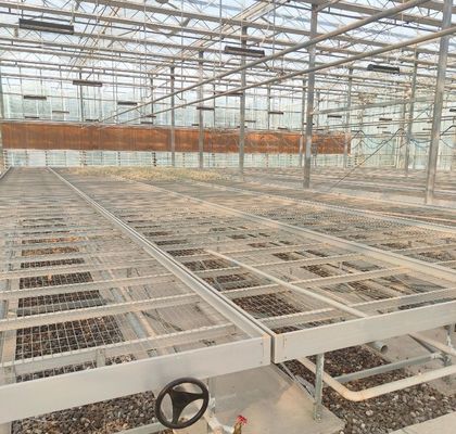 単層または多層ジャンクシアン 二層フィルム温室 花の生産 緑