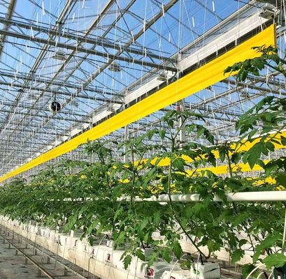 暖かい空気吹風機/温水暖房 二重アーチ水栽培温室 花やトマトのために