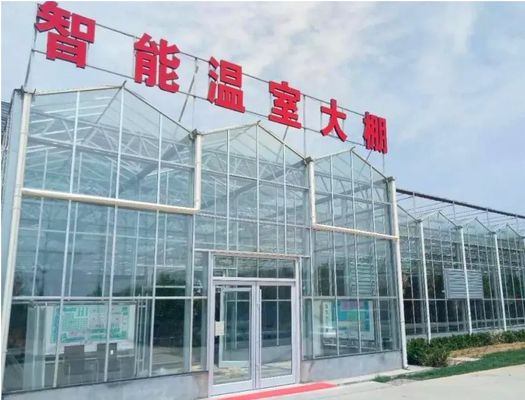 大規模な生産能力と栽培を備えた室内シェーディング水栽培種植施設