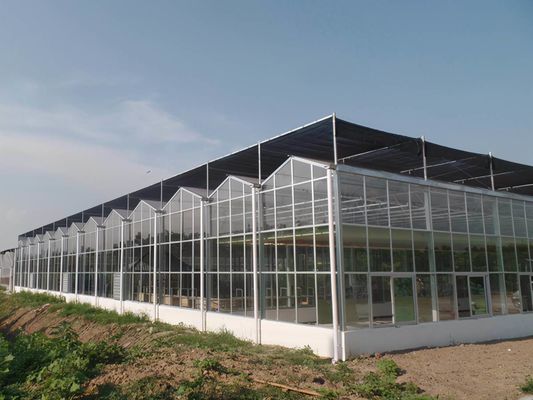 大規模な生産能力と栽培を備えた室内シェーディング水栽培種植施設