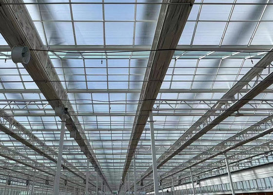 大規模な生産能力と栽培を備えた室内シェーディング水栽培種植施設