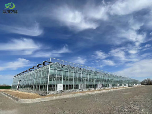 大規模な生産能力と栽培を備えた室内シェーディング水栽培種植施設