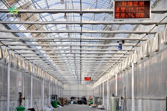 大規模な生産能力と栽培を備えた室内シェーディング水栽培種植施設