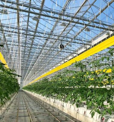 水素栽培方法によるペッパー生産のための鉄筋構造温室