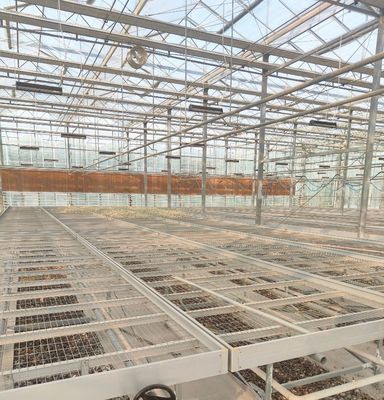 水素栽培方法によるペッパー生産のための鉄筋構造温室