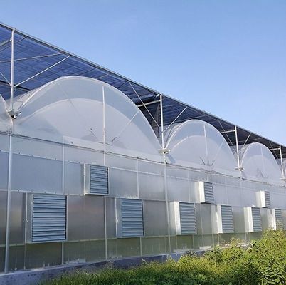 二重アーチ構造 - 混合農業生産ニーズのために作られた水力栽培温室