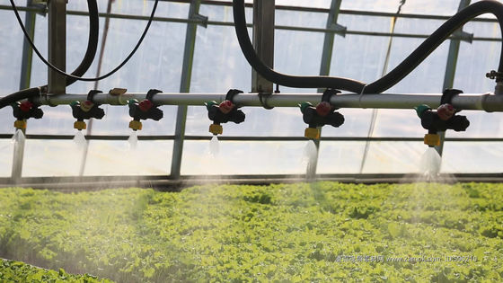 アメリカ合衆国/カナダ 鉄筋構造 野菜 植え付け 水栽培のための単弧温室