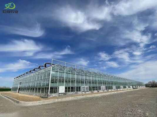 緑葉 野菜 フィルム PC シート 水栽培用 農業用 多スパン温室