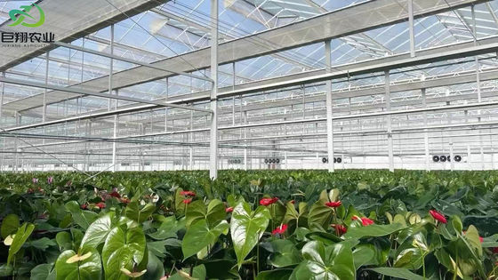 オーダーメイド 要求 噴霧冷却 苗木のための植樹家 鋼鉄構造 オーダーメイド