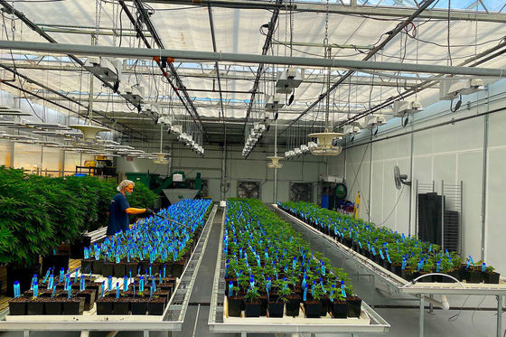 オーダーメイド 要求 噴霧冷却 苗木のための植樹家 鋼鉄構造 オーダーメイド