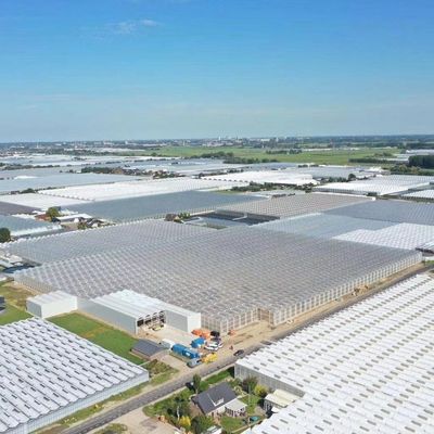 多種間における水培植苗のための二層照明成長構造