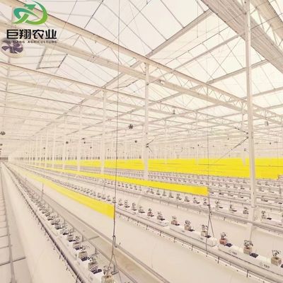 3m~8m 壁の高さ 多スパン ヴェンロガラス温室 水培栽培システム