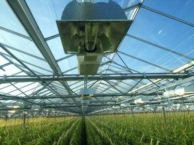 トマト 黄瓜 レタス 栽培システム 総重量 2000,000kg 要求 パーソナライズ