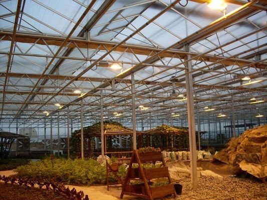Juxiang プラスチックフィルム種植施設 便利な返品のための鉄筋構造 返金