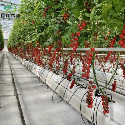 カスタマイズされたフィルム厚さ 農業用プラスチックフィルム 水力学温室