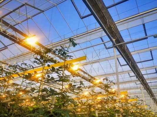 温室パッケージの苗木のための多段植え室 総重量2000.000kg