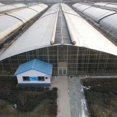 水産物 厚雪地域における雪振動器付きの太陽光温室