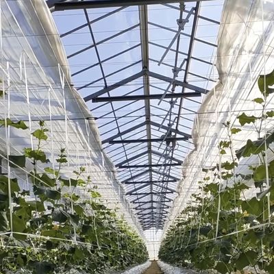 商業用温室水栽培システム 適正価格でカスタマイズし,手頃な価格で