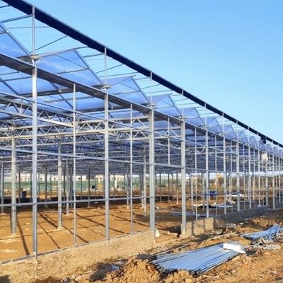 商業用温室水栽培システム 適正価格でカスタマイズし,手頃な価格で
