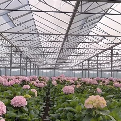 50.00cm * 60.00cm * 80.00cm パッケージサイズ ガラス温室水栽培栽培システム