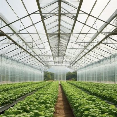 50.00cm * 60.00cm * 80.00cm パッケージサイズ ガラス温室水栽培栽培システム