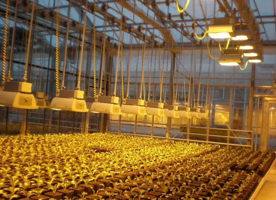 湿幕制御照明温室 2000,000kg パッケージ総重量
