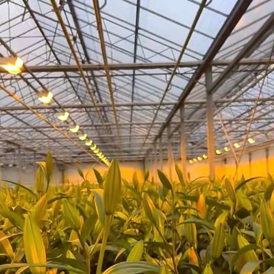 滴滴灌輸による二層ベンロガラス温室水栽培生産システム