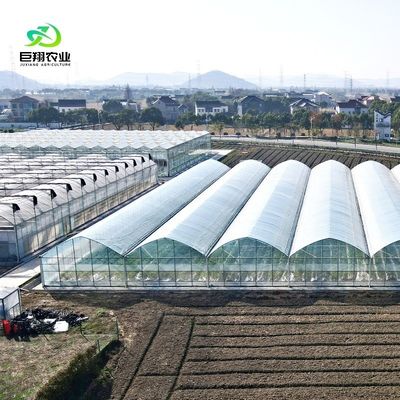 オーダーメイド リクエスト 生産のための農業多スパンプラスチックトンネルフィルム温室