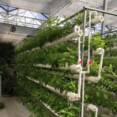 ガラス温室部門カバー材料フィルムのためのカスタマイズされた土壌のない文化ソリューション