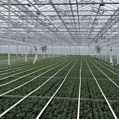 100.000kg パッケージ 総重量 滴滴灌水を伴う温室用水栽培システム