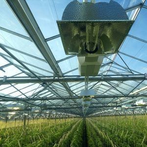 種植物の栽培のための反滴霧照明温室 オーダーメイド要求