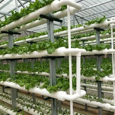 グラス温室部門のための一時的な暖房ソリューション 土のない栽培