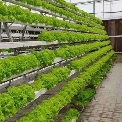 グラス温室部門のための一時的な暖房ソリューション 土のない栽培