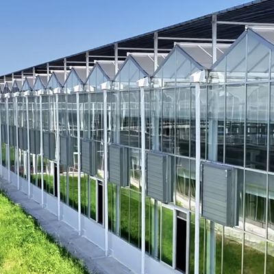 温室用水栽培システム 温室用水栽培システム