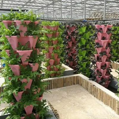 臨時加熱法による大規模農業温室水栽培システム