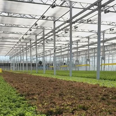 温室水栽培システム パーソナライズし100,000kgのパッケージ総重量