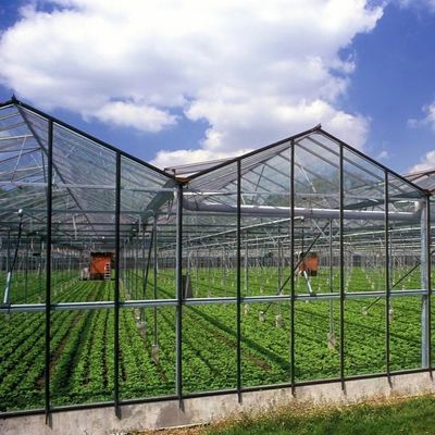温室水栽培システム パーソナライズし100,000kgのパッケージ総重量