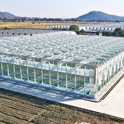 トマトと葉を植えるためのガラス温室 JX-ガラススペン 8m 9.6m 12m カスタマイズ