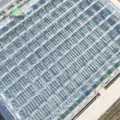 トマトと葉を植えるためのガラス温室 JX-ガラススペン 8m 9.6m 12m カスタマイズ